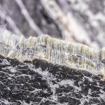 Asbestos Removal Darlington